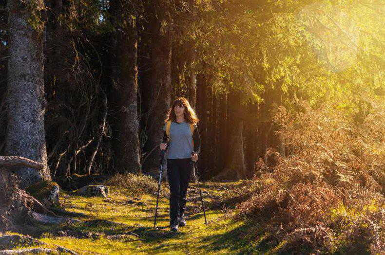 Prawidłowe chodzenie z kijkami – technika nordic walking